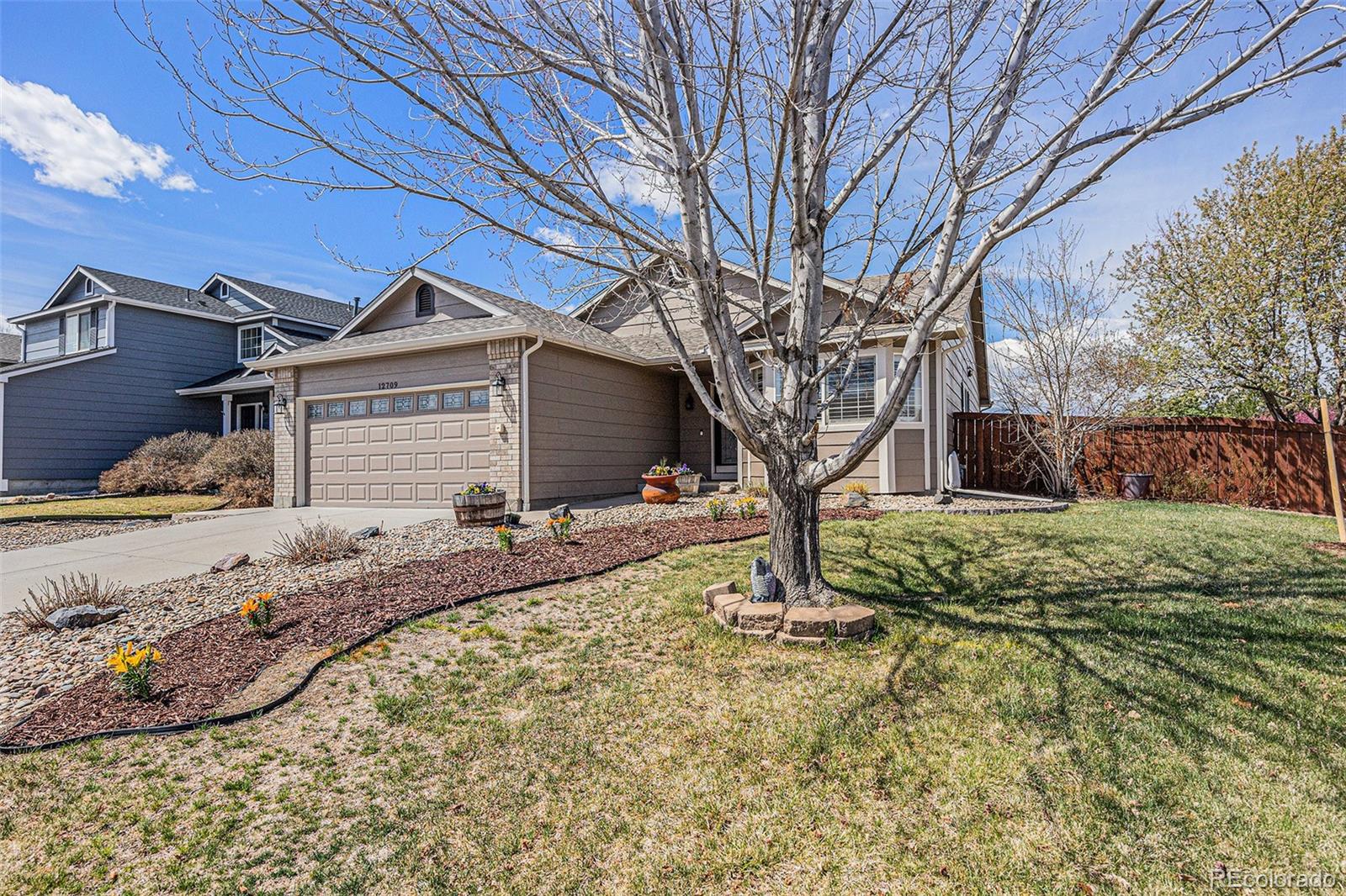 MLS Image #2 for 12709  prince creek drive,parker, Colorado