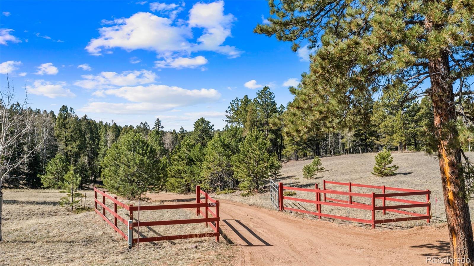 MLS Image #28 for 1596  county road 512 ,divide, Colorado