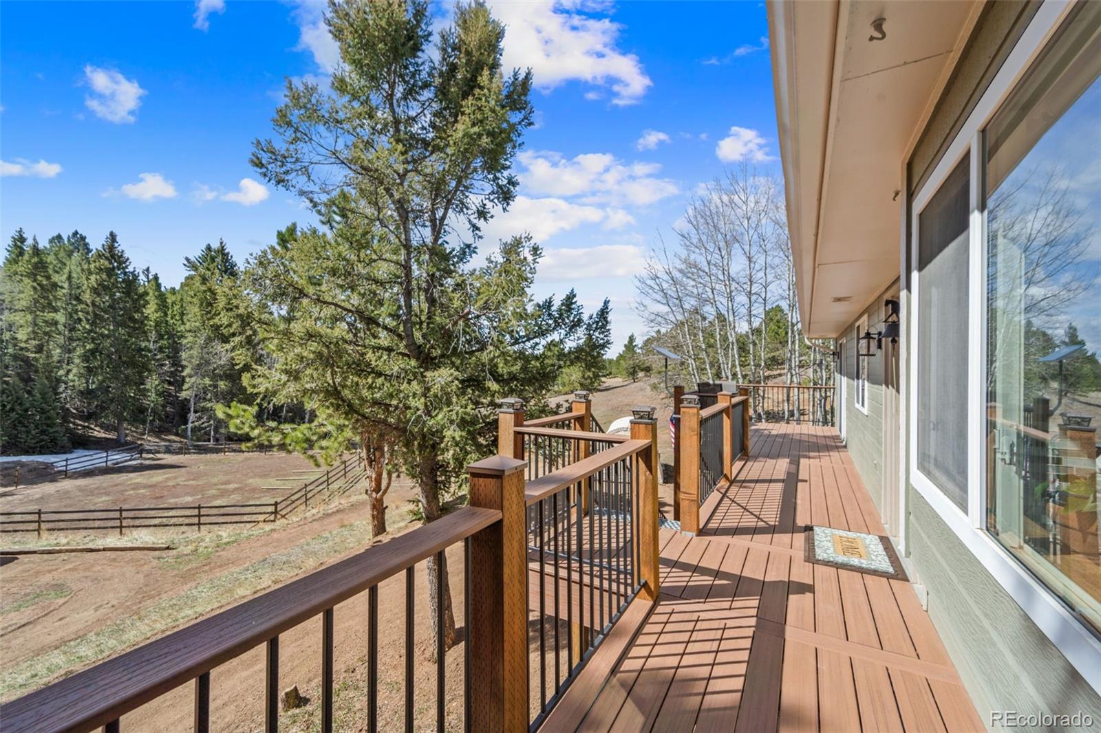 MLS Image #3 for 1596  county road 512 ,divide, Colorado