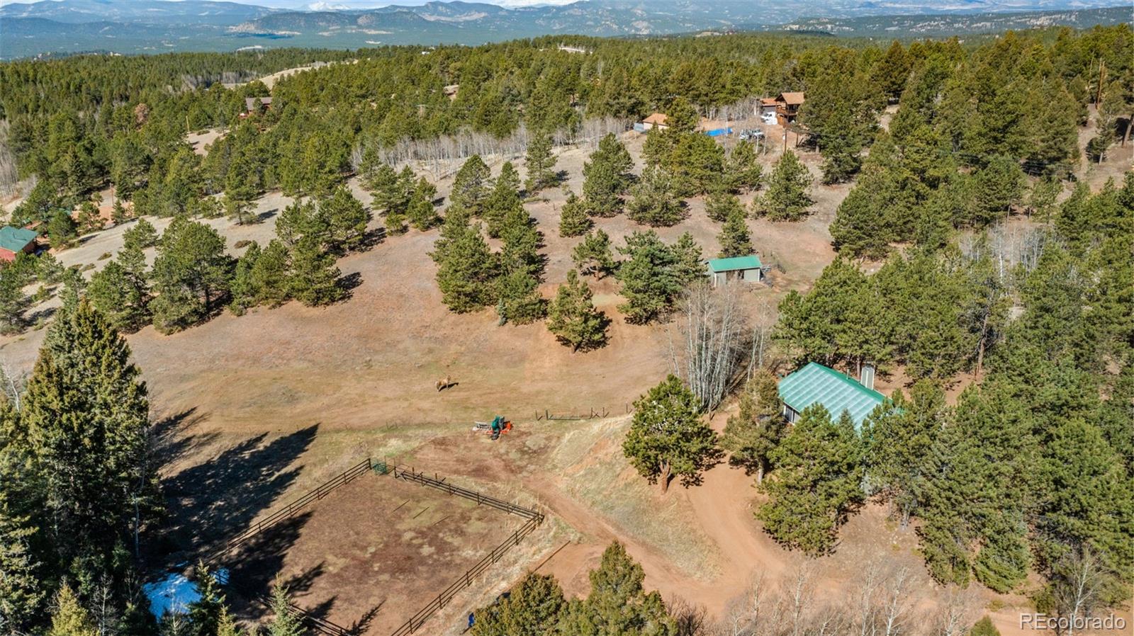 MLS Image #33 for 1596  county road 512 ,divide, Colorado