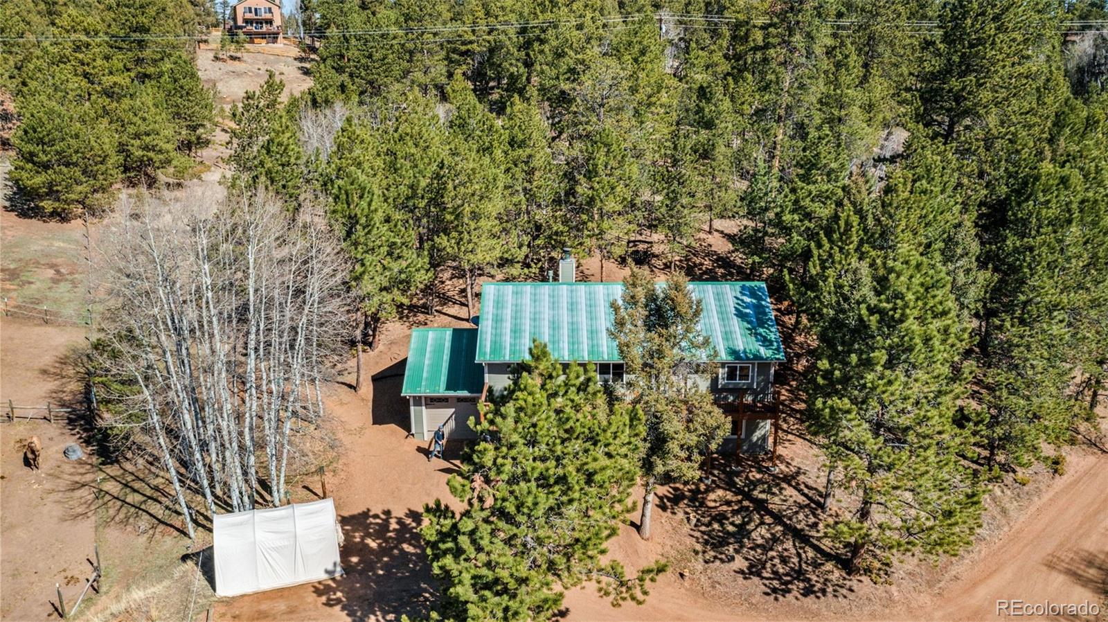 MLS Image #36 for 1596  county road 512 ,divide, Colorado