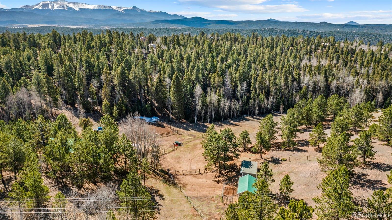 MLS Image #39 for 1596  county road 512 ,divide, Colorado