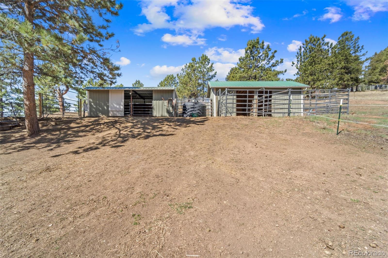 MLS Image #6 for 1596  county road 512 ,divide, Colorado