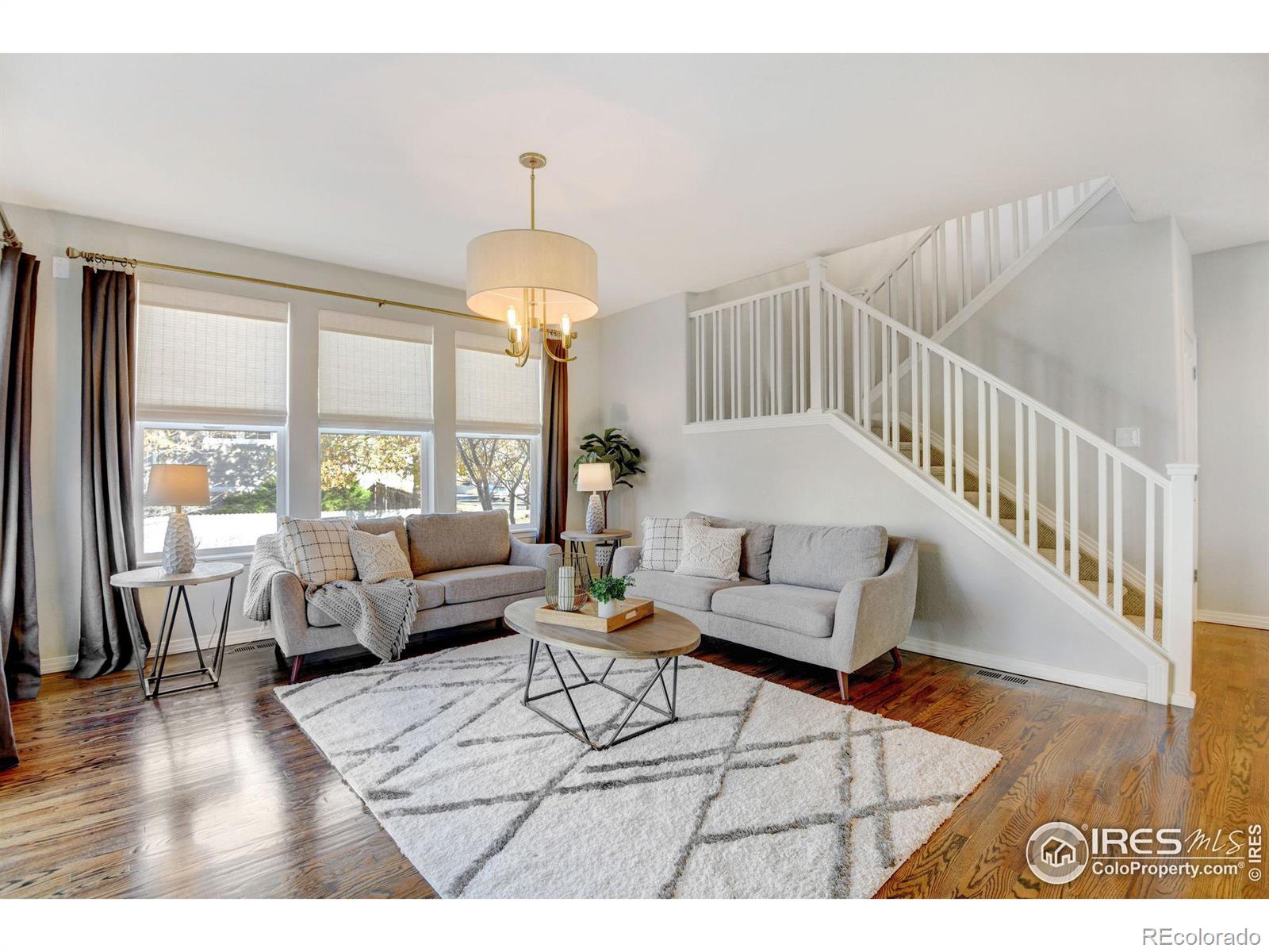 MLS Image #6 for 14215  waterside lane,broomfield, Colorado