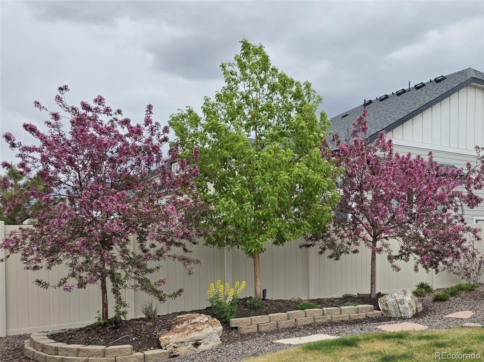 MLS Image #30 for 21701 e 50th drive,aurora, Colorado