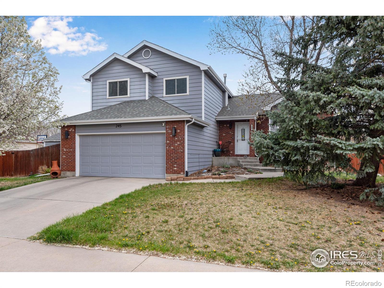 CMA Image for 245  Mulberry Drive,Windsor, Colorado
