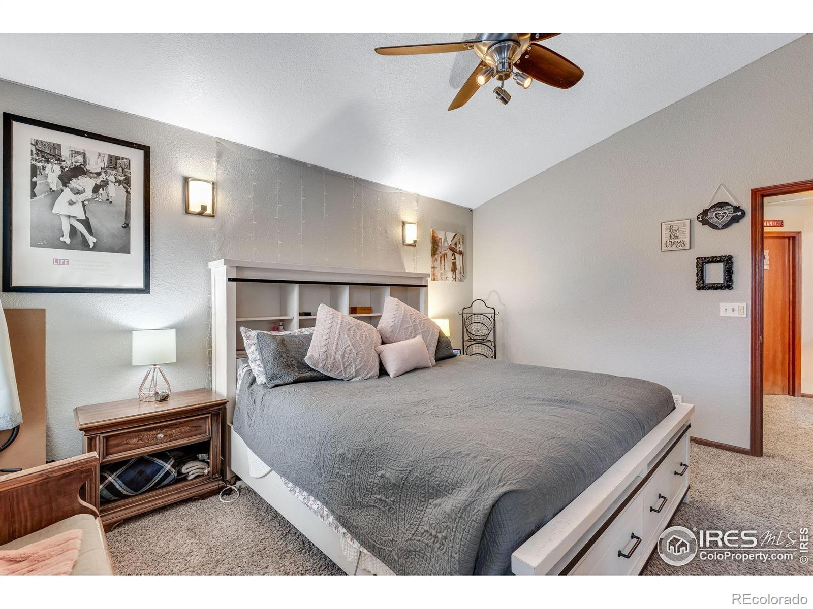 MLS Image #12 for 245  mulberry drive,windsor, Colorado