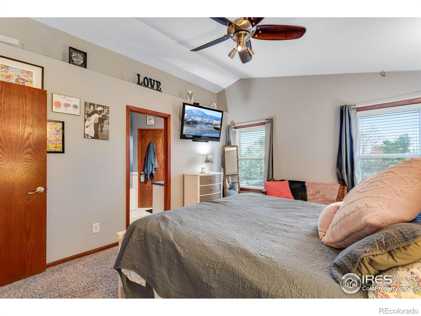 MLS Image #14 for 245  mulberry drive,windsor, Colorado
