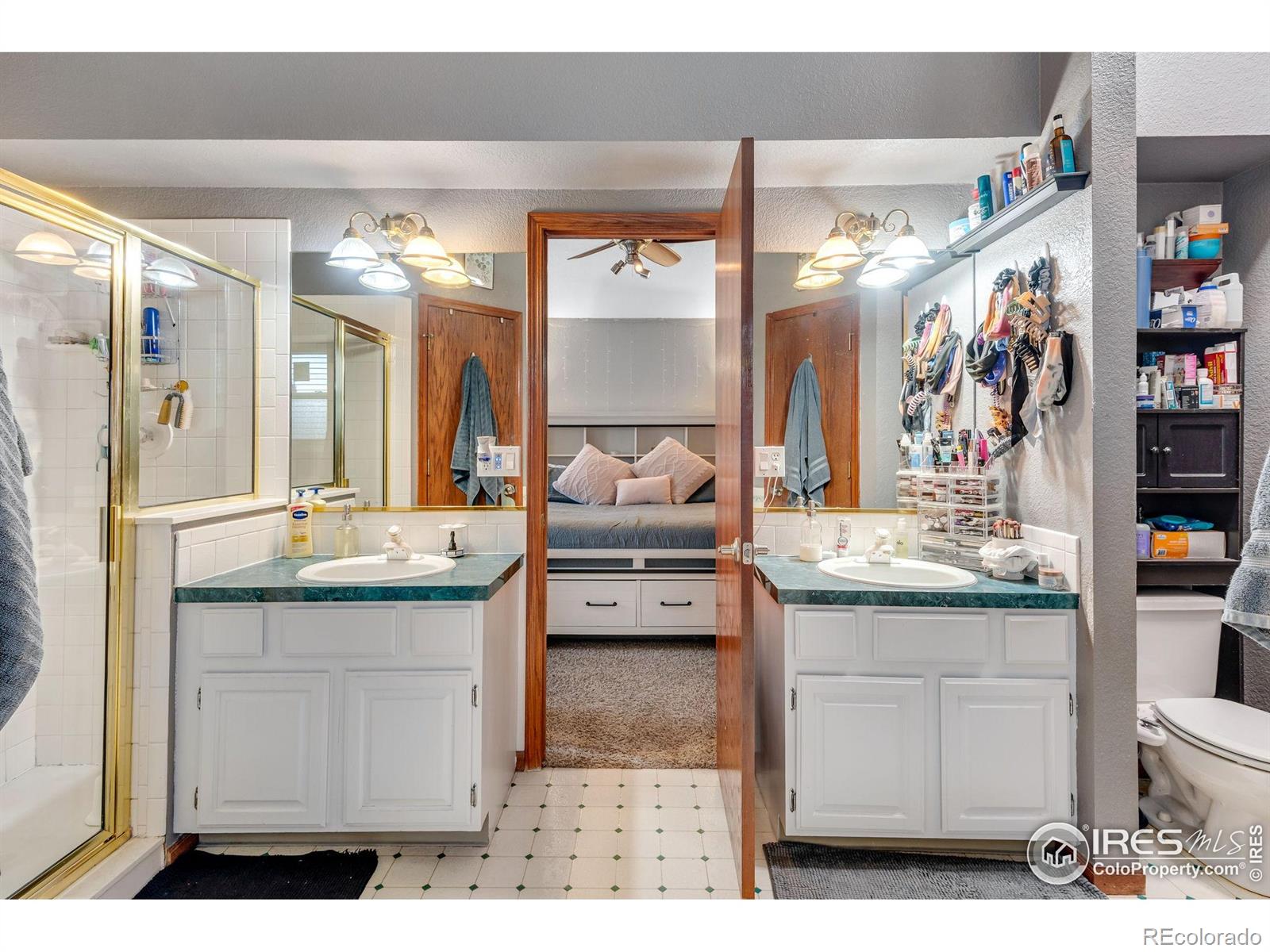 MLS Image #15 for 245  mulberry drive,windsor, Colorado