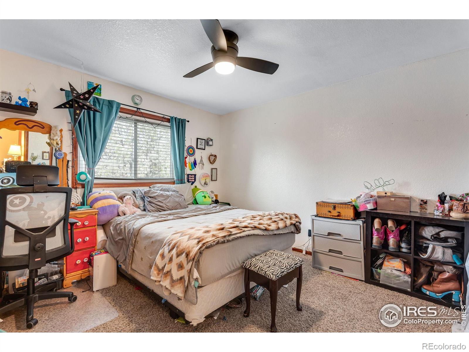 MLS Image #18 for 245  mulberry drive,windsor, Colorado