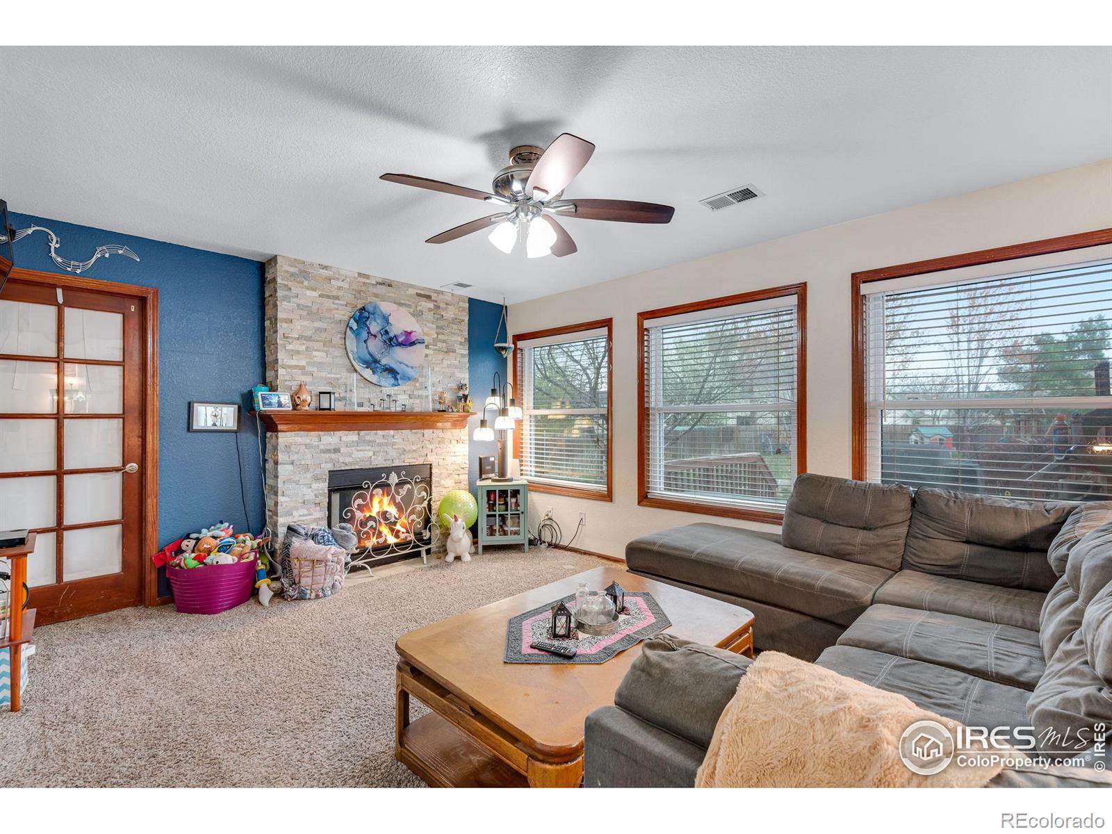 MLS Image #20 for 245  mulberry drive,windsor, Colorado