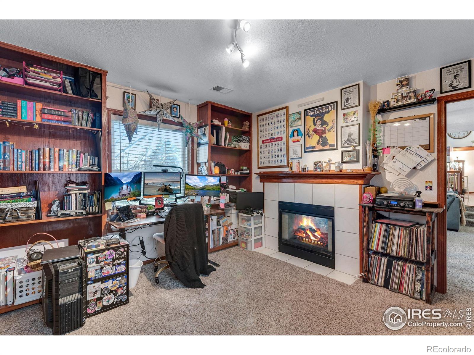 MLS Image #22 for 245  mulberry drive,windsor, Colorado