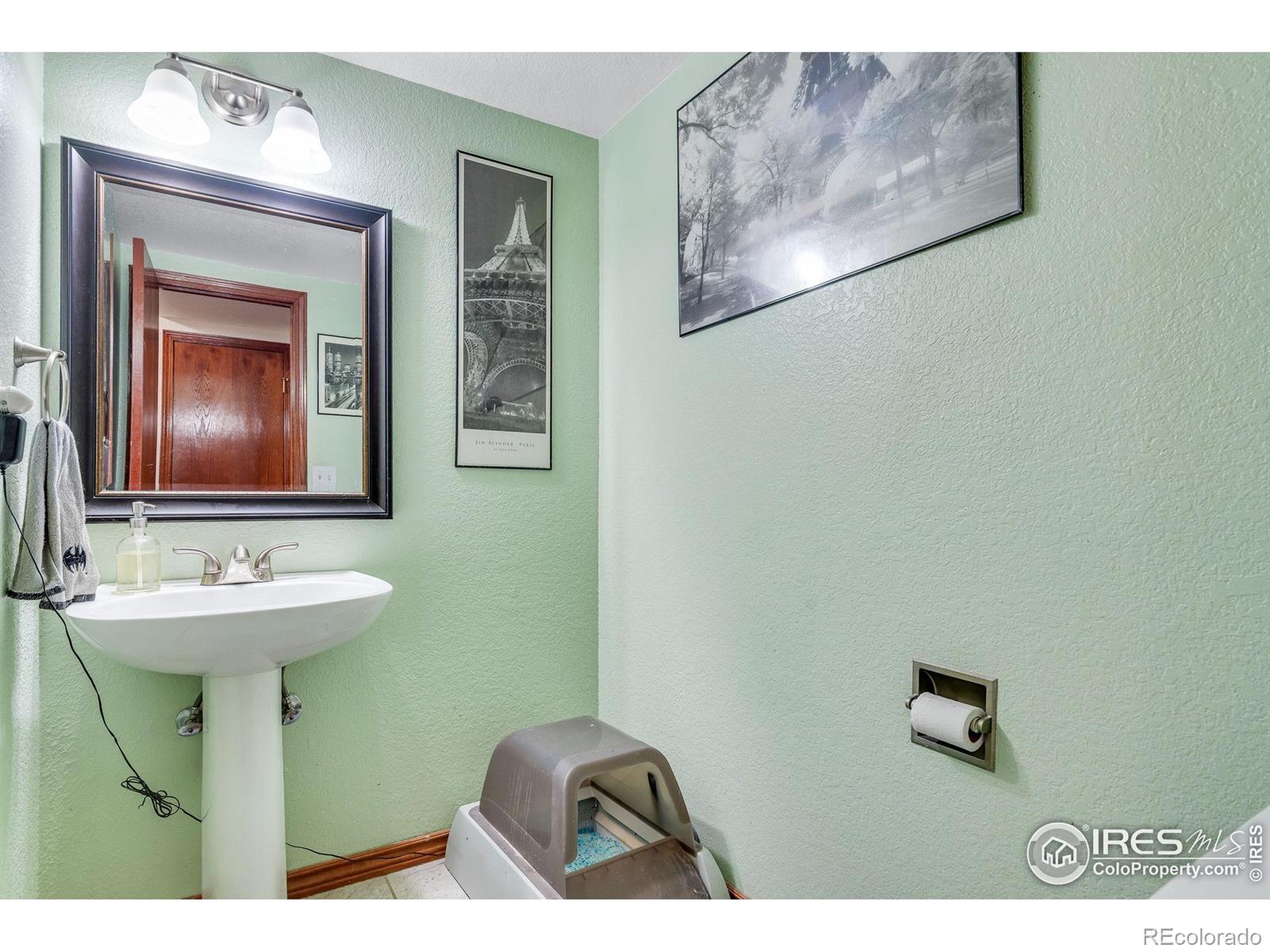 MLS Image #24 for 245  mulberry drive,windsor, Colorado