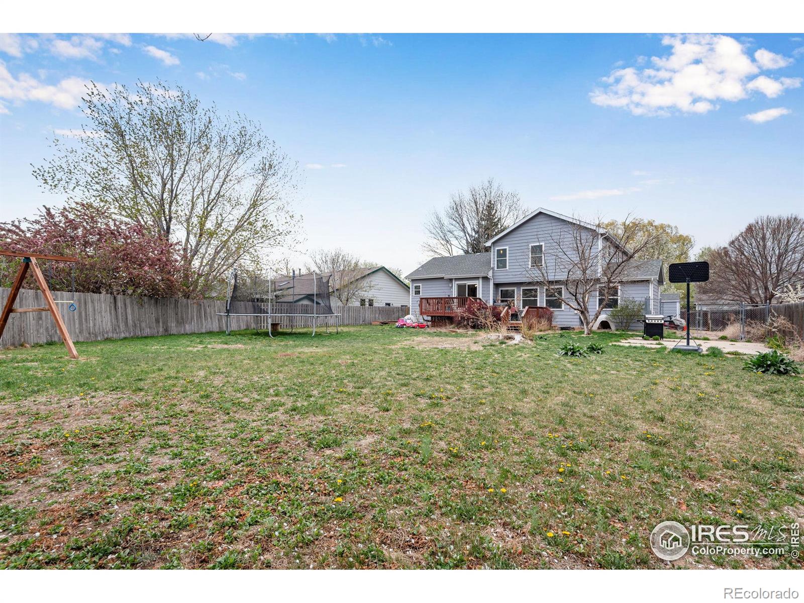 MLS Image #27 for 245  mulberry drive,windsor, Colorado