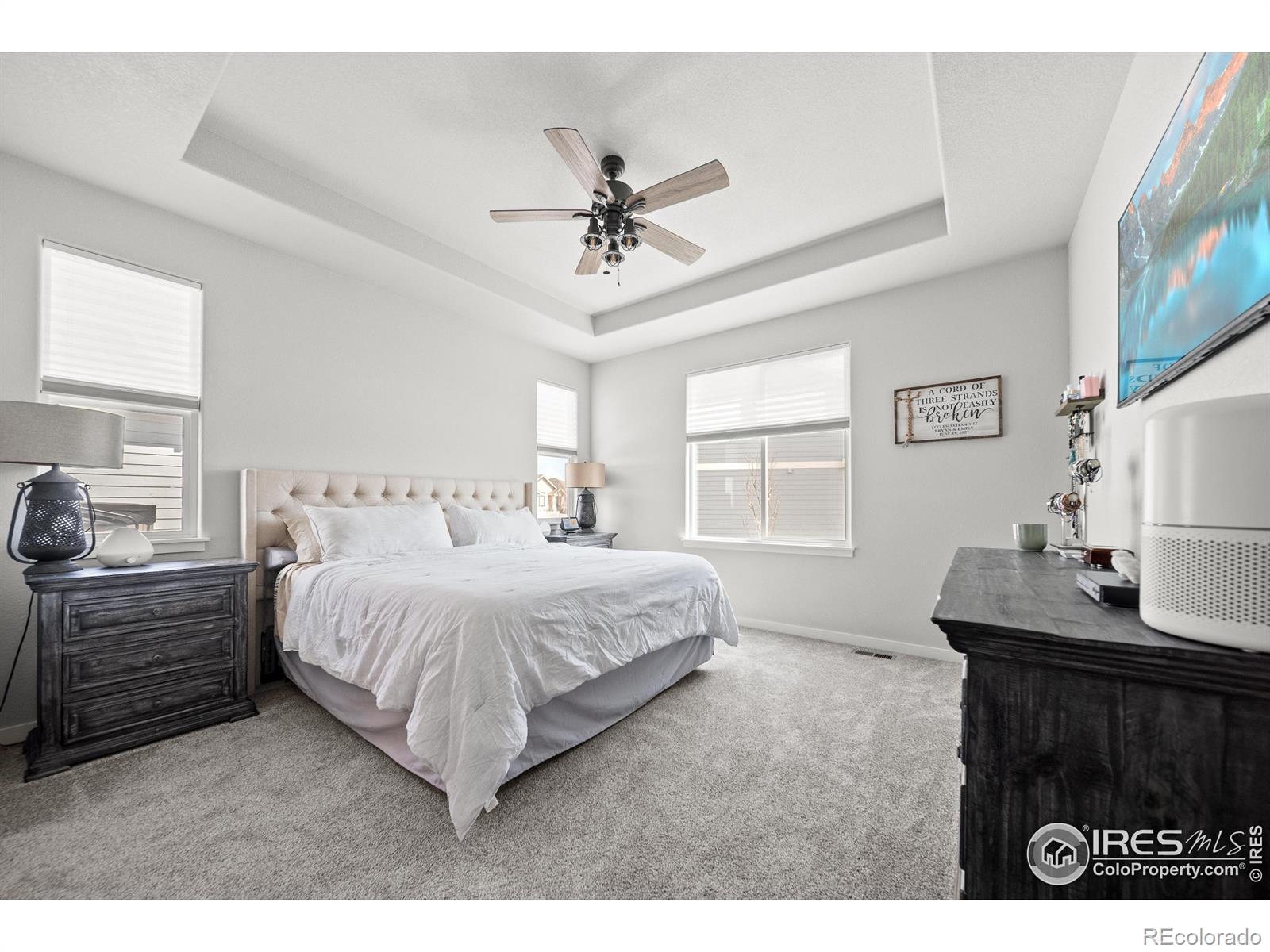 MLS Image #13 for 1564  benjamin drive,eaton, Colorado