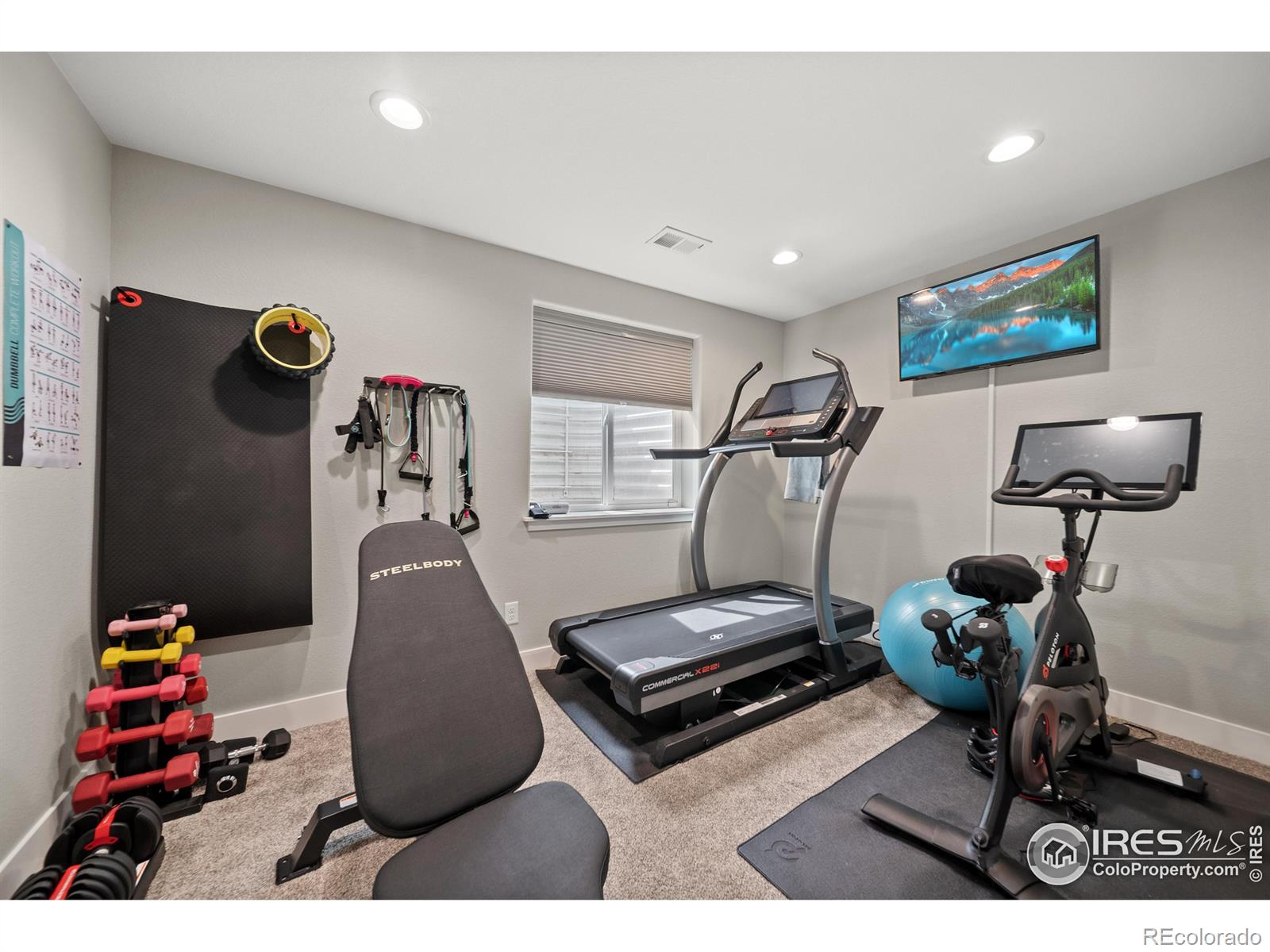 MLS Image #26 for 1564  benjamin drive,eaton, Colorado