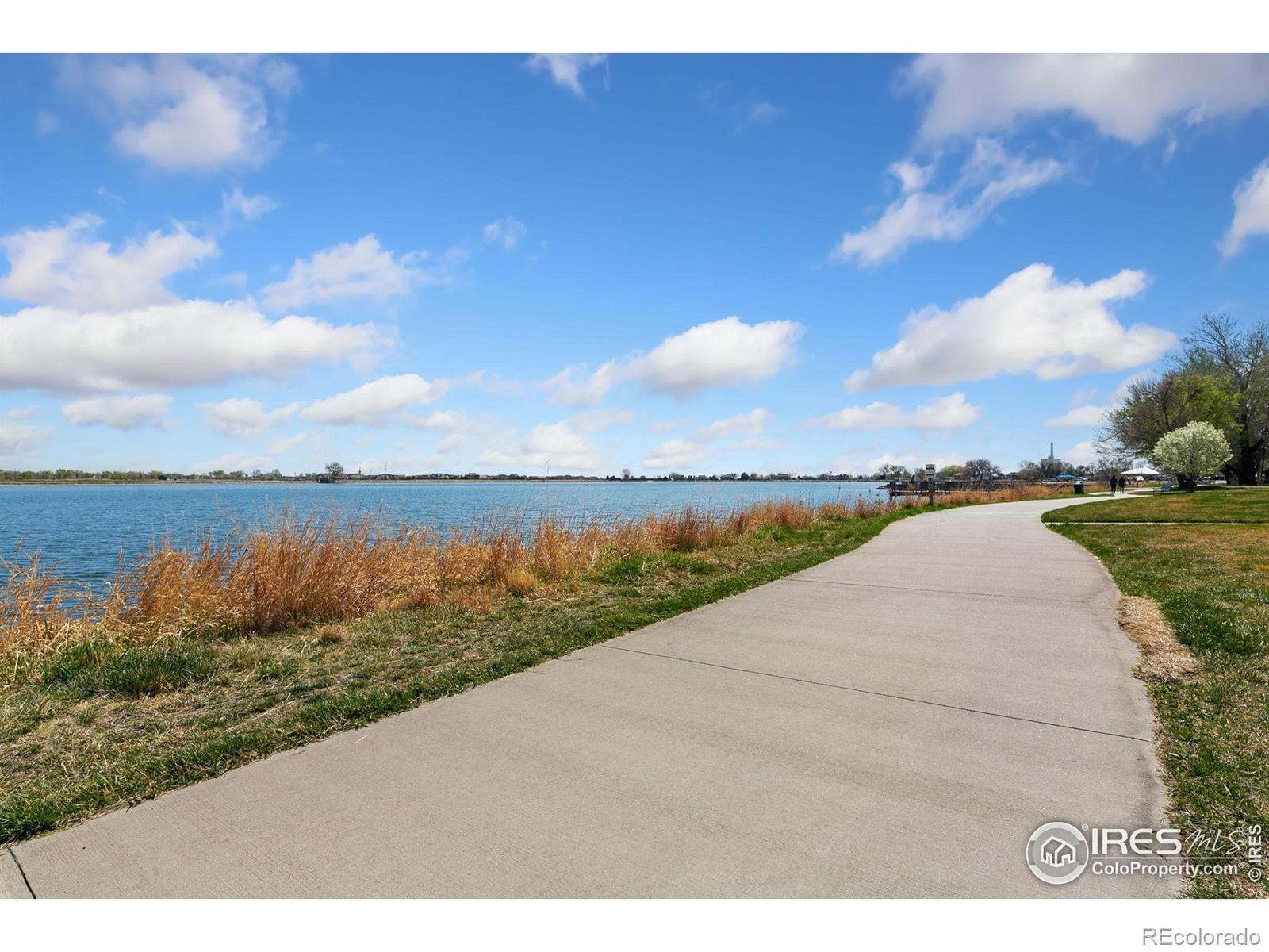 MLS Image #36 for 319  6th street,windsor, Colorado