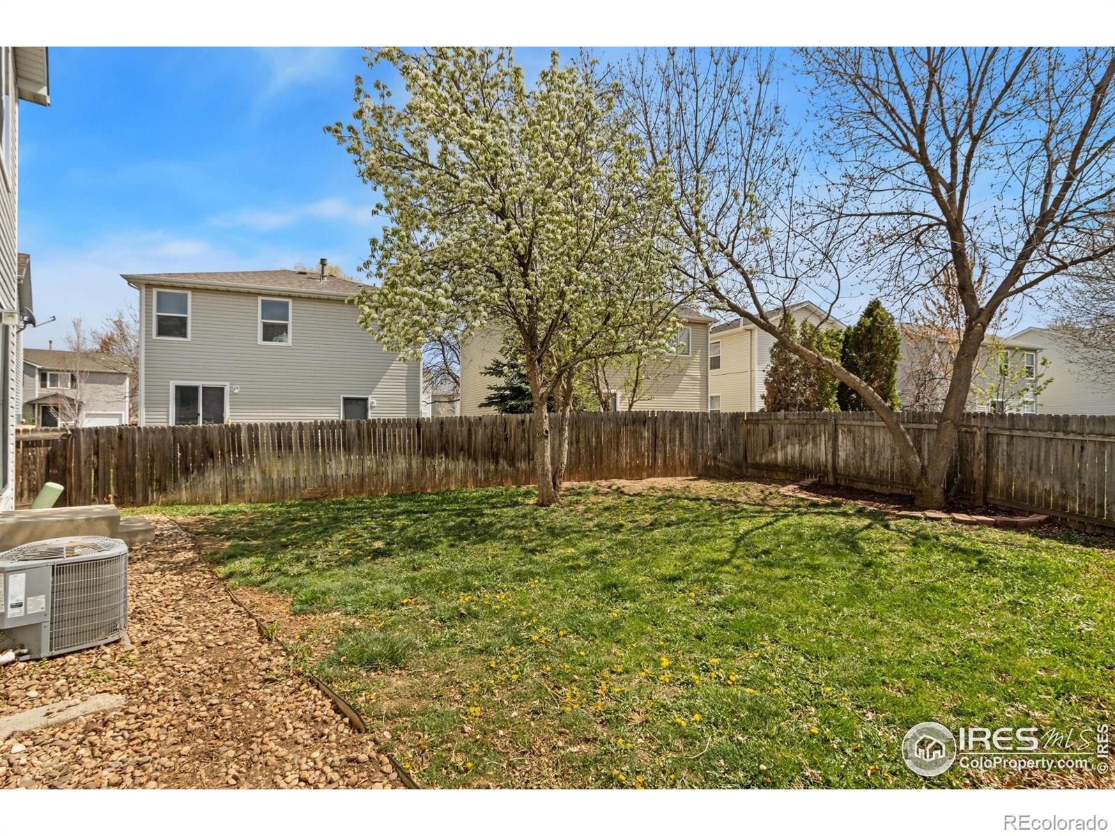 MLS Image #11 for 439  plowman way,fort collins, Colorado