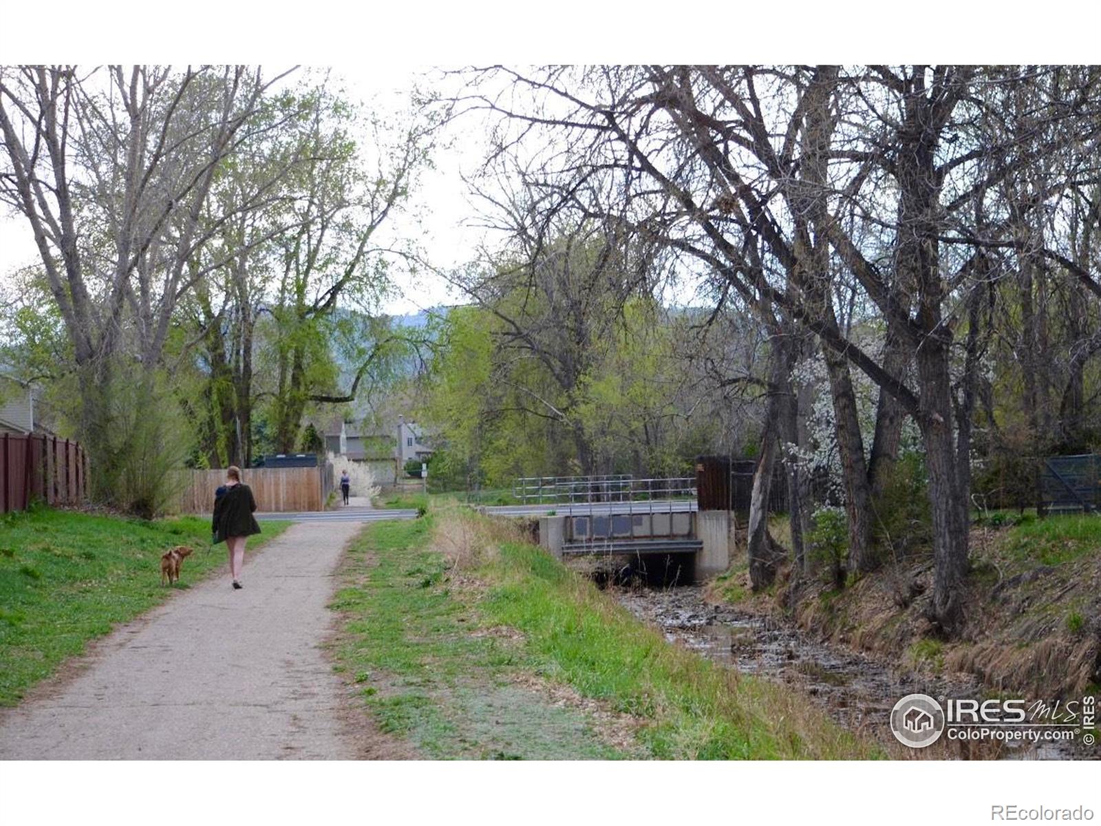MLS Image #15 for 439  plowman way,fort collins, Colorado