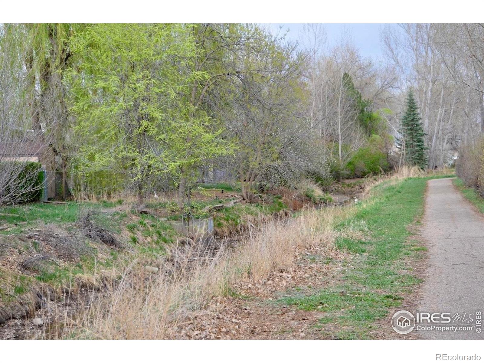 MLS Image #16 for 439  plowman way,fort collins, Colorado