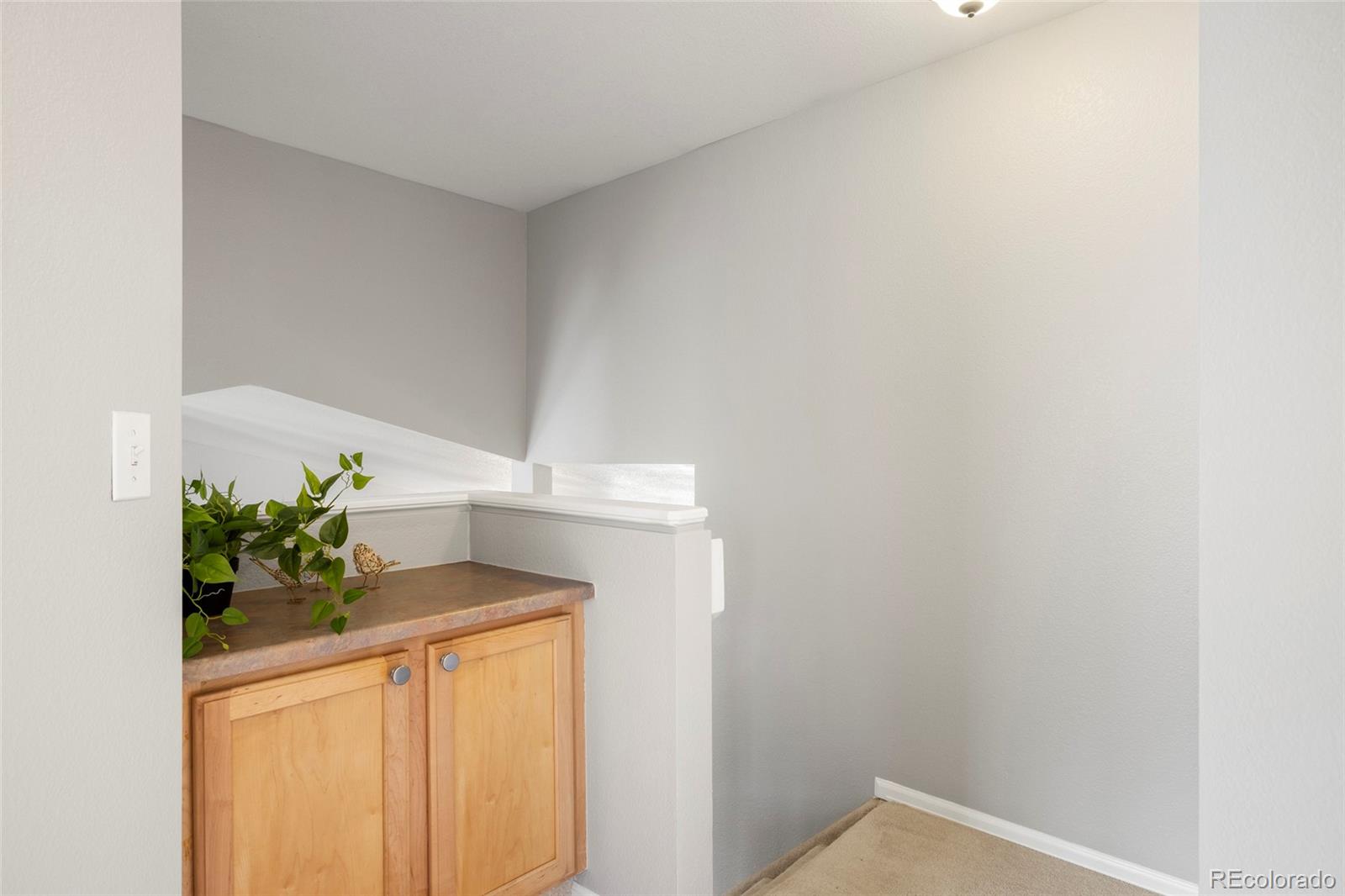 MLS Image #25 for 13906  jackson street,thornton, Colorado