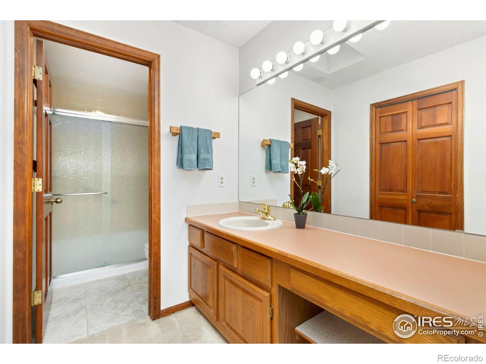 MLS Image #25 for 1471  front nine drive,fort collins, Colorado