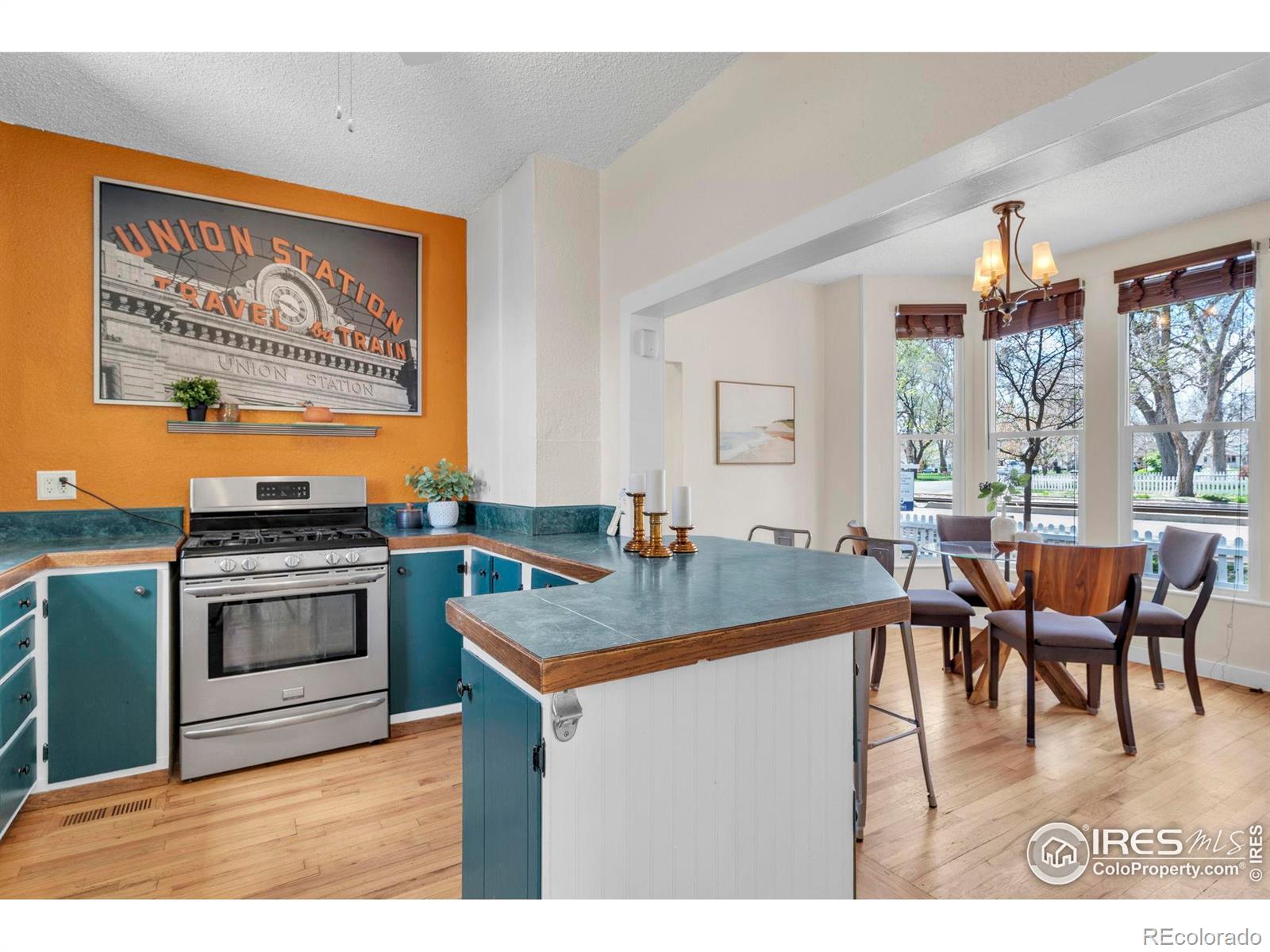 MLS Image #10 for 700  atwood street,longmont, Colorado