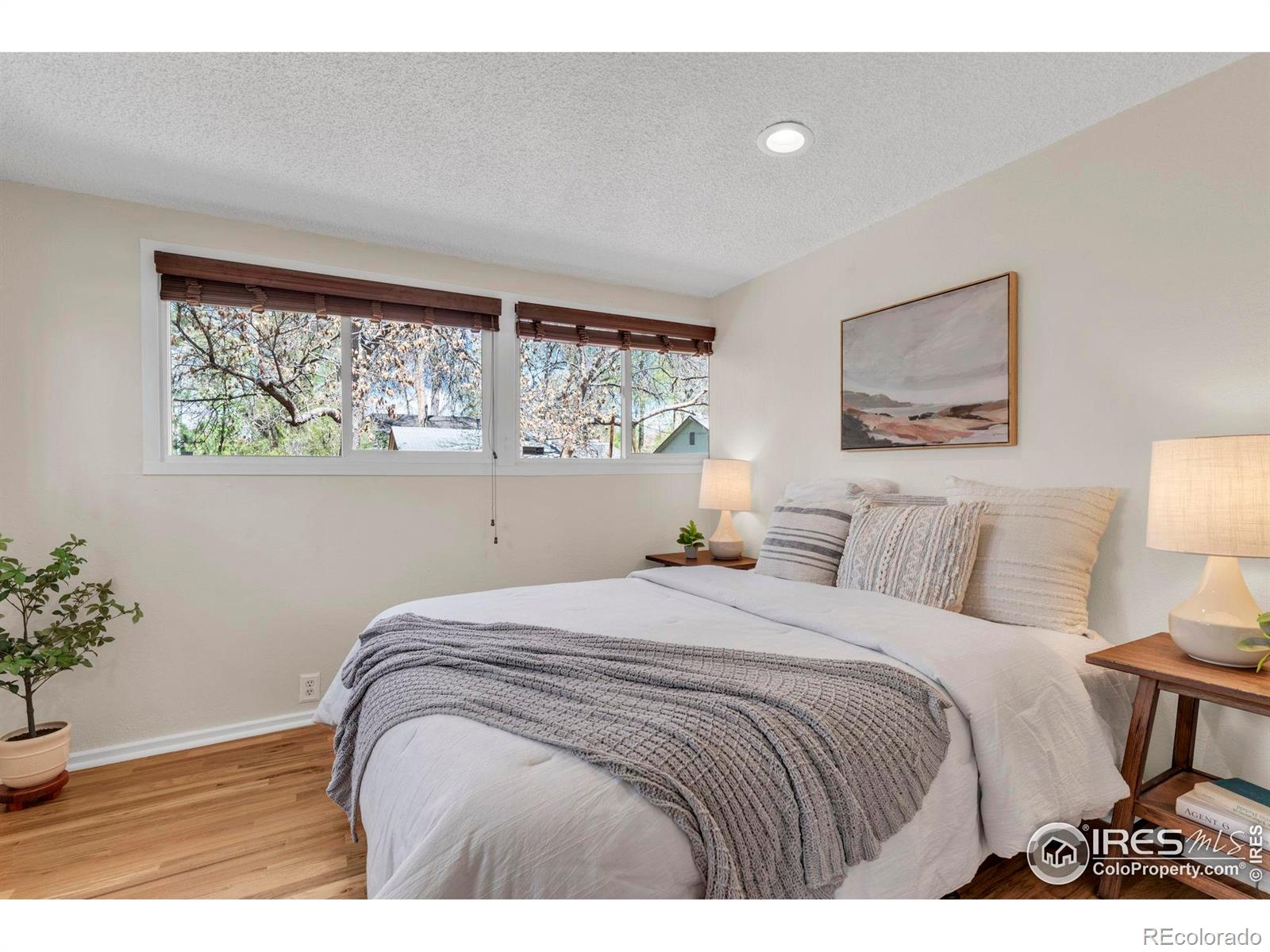 MLS Image #13 for 700  atwood street,longmont, Colorado