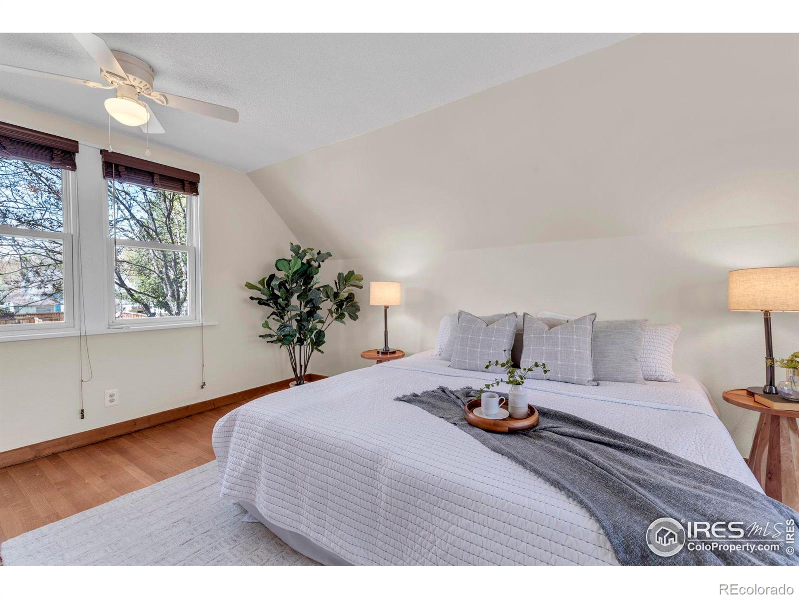 MLS Image #19 for 700  atwood street,longmont, Colorado