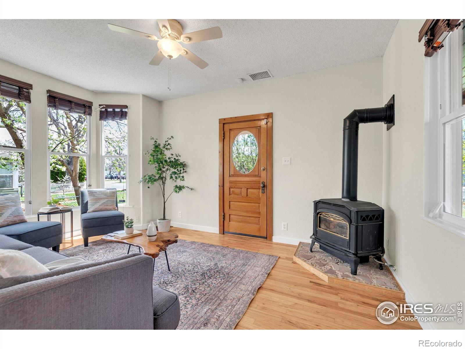 MLS Image #5 for 700  atwood street,longmont, Colorado