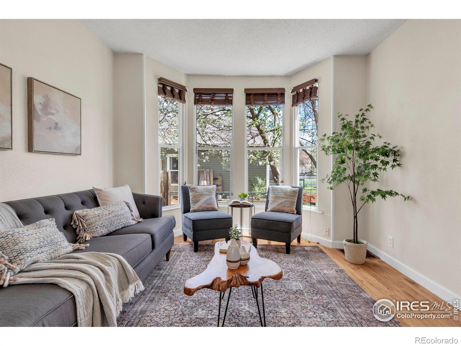 MLS Image #7 for 700  atwood street,longmont, Colorado