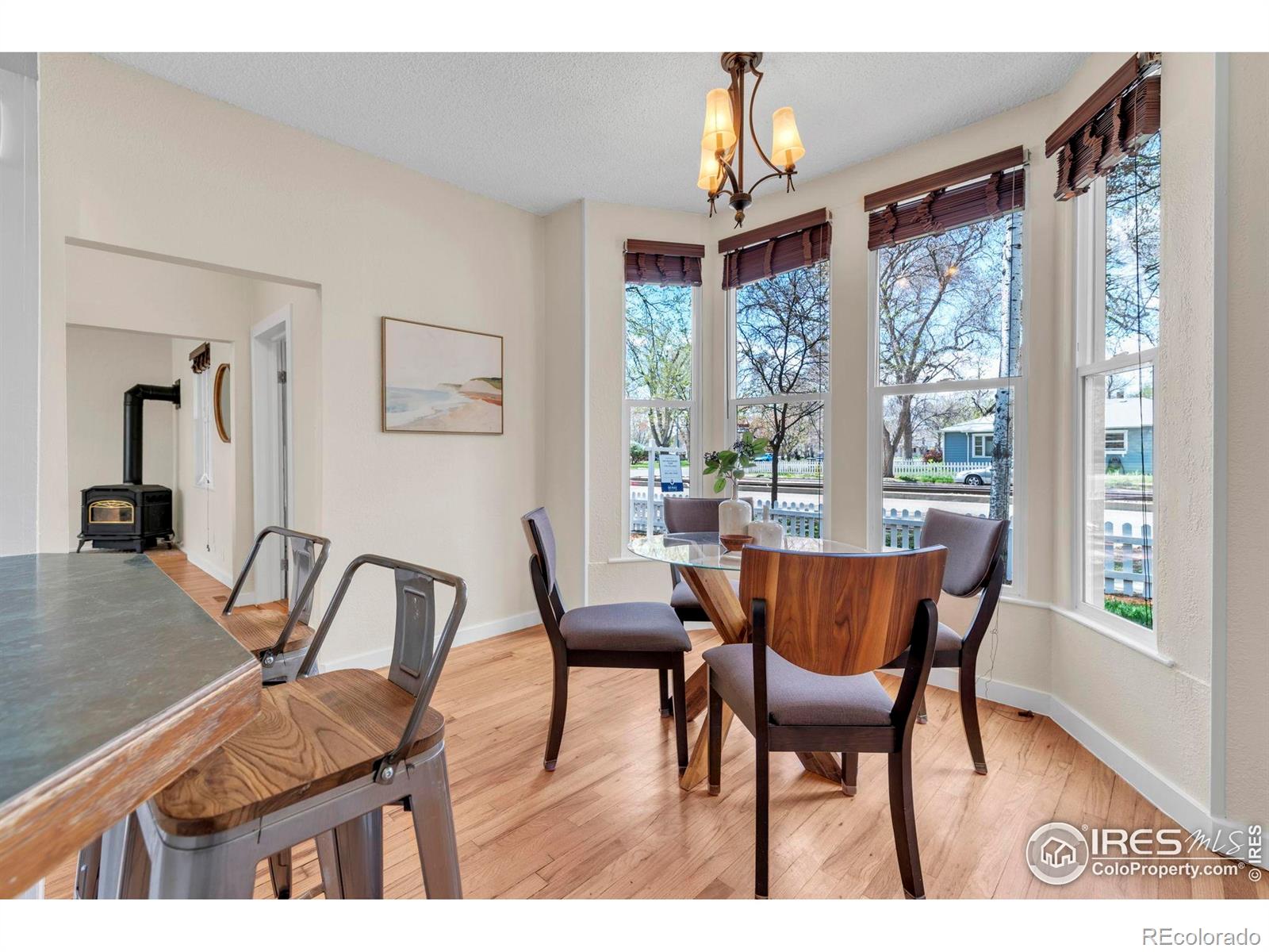 MLS Image #8 for 700  atwood street,longmont, Colorado