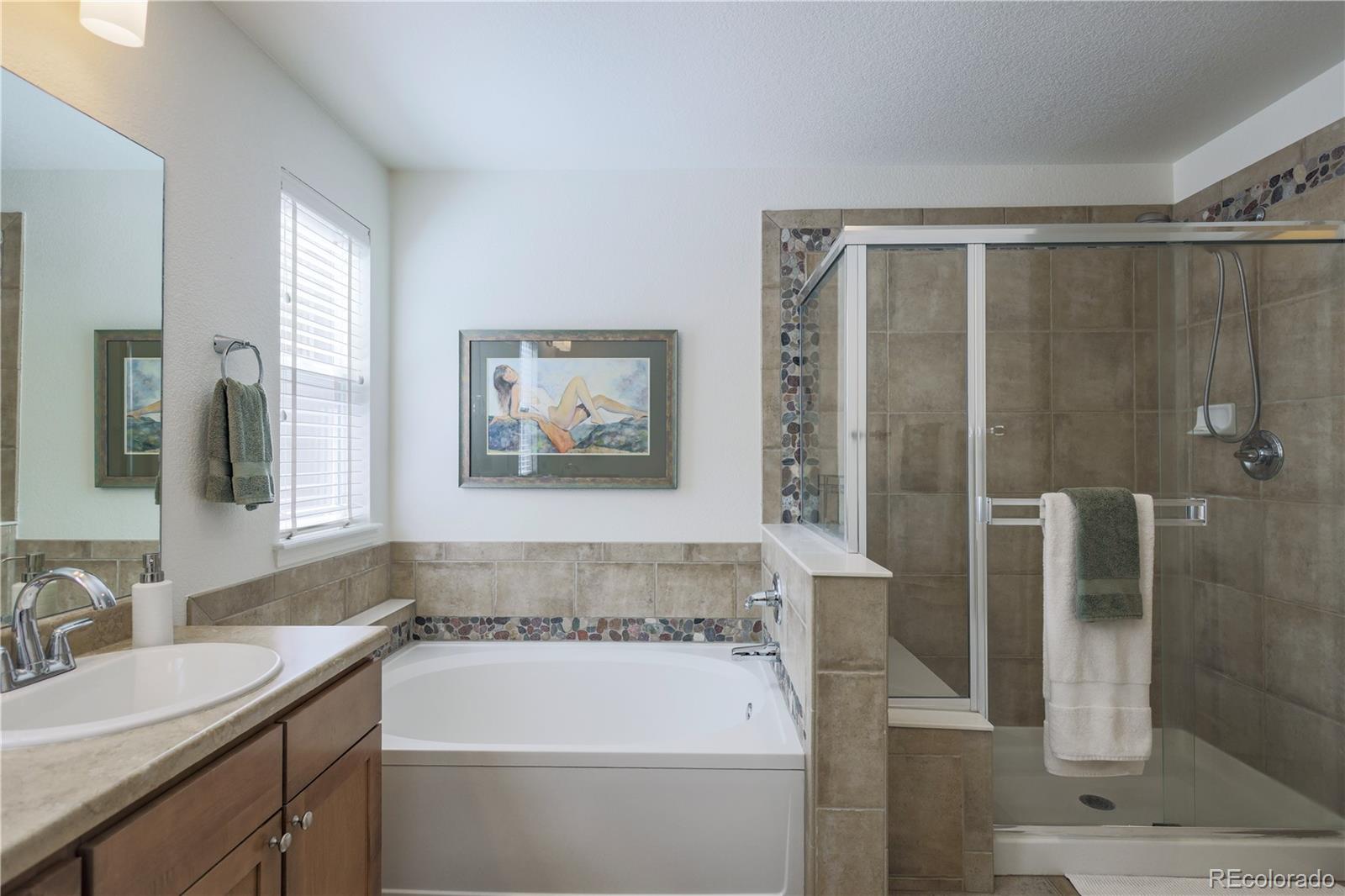 MLS Image #23 for 3754  broadview place,castle rock, Colorado