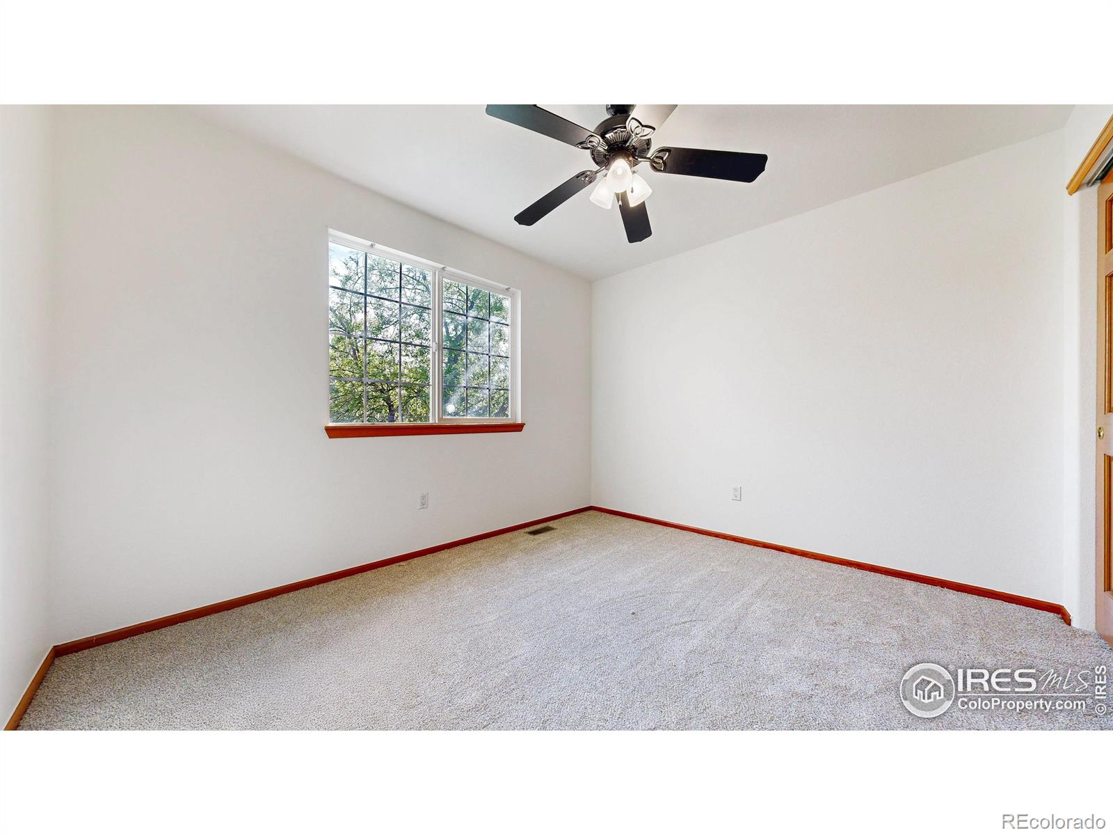 MLS Image #17 for 3914  grand canyon street,fort collins, Colorado