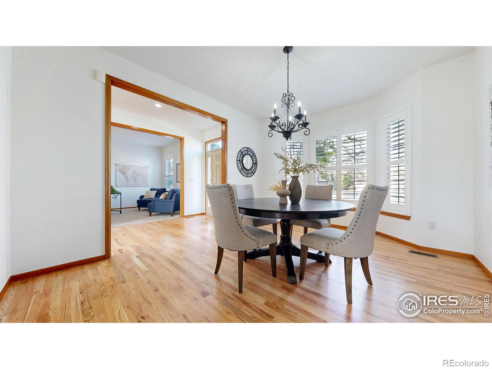 MLS Image #2 for 3914  grand canyon street,fort collins, Colorado