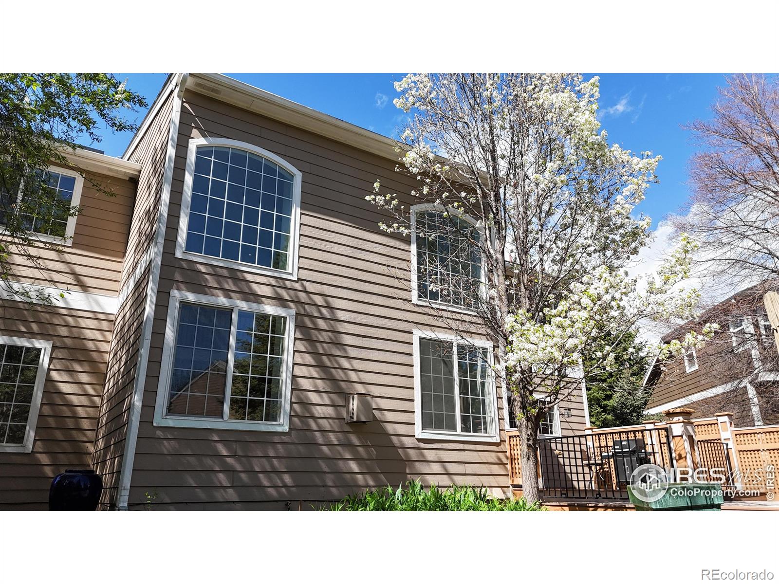 MLS Image #31 for 3914  grand canyon street,fort collins, Colorado