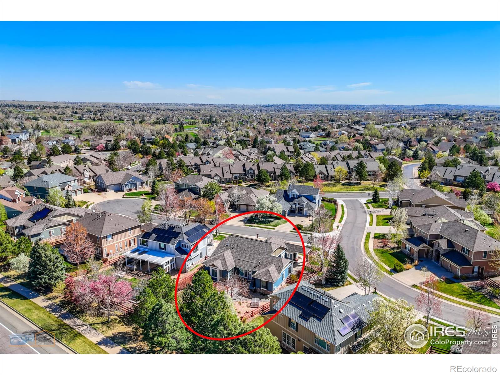 MLS Image #22 for 6263  torrey lane,arvada, Colorado