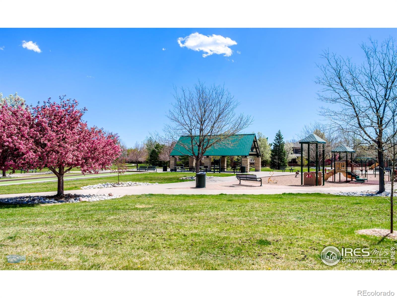 MLS Image #38 for 6263  torrey lane,arvada, Colorado