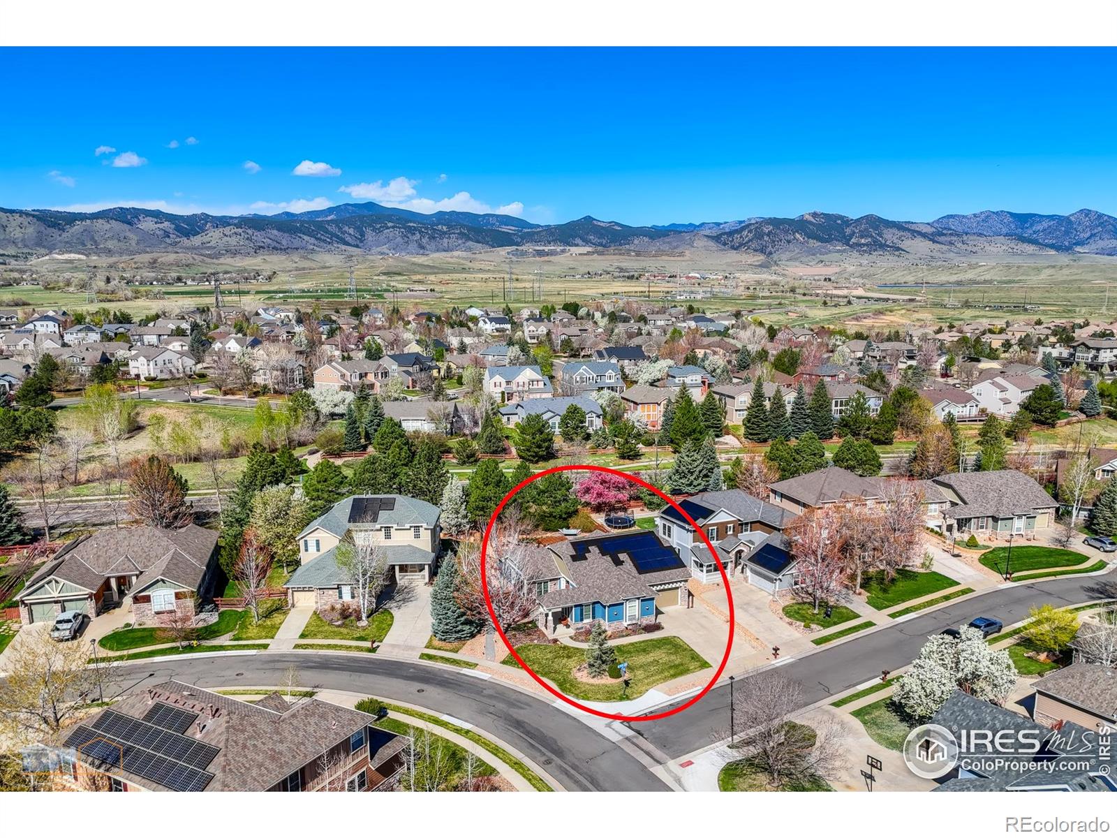 MLS Image #4 for 6263  torrey lane,arvada, Colorado