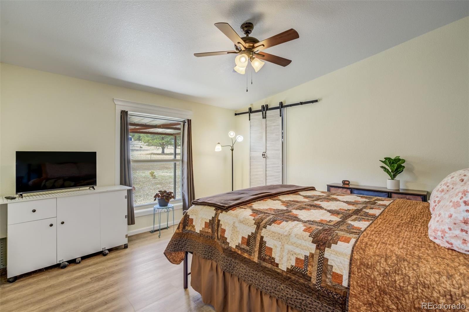 MLS Image #14 for 436  calle de la nieva ,florissant, Colorado