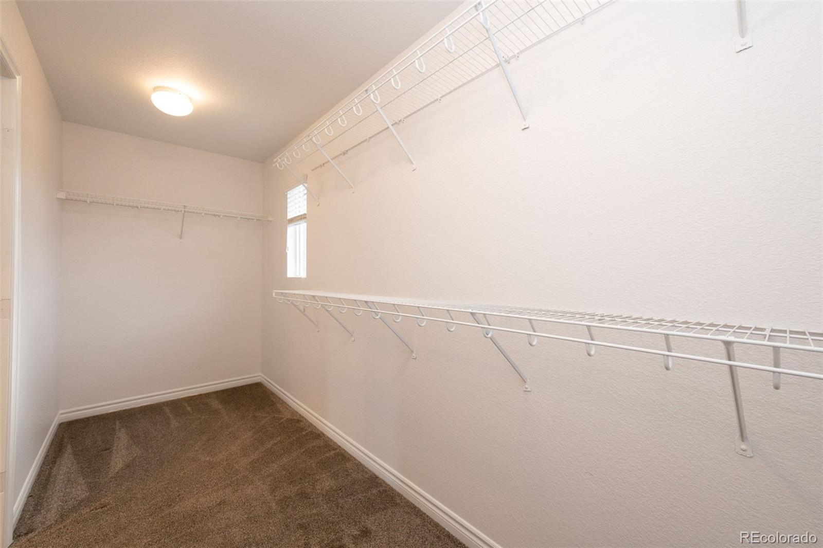 MLS Image #31 for 4846  bluegate drive,highlands ranch, Colorado