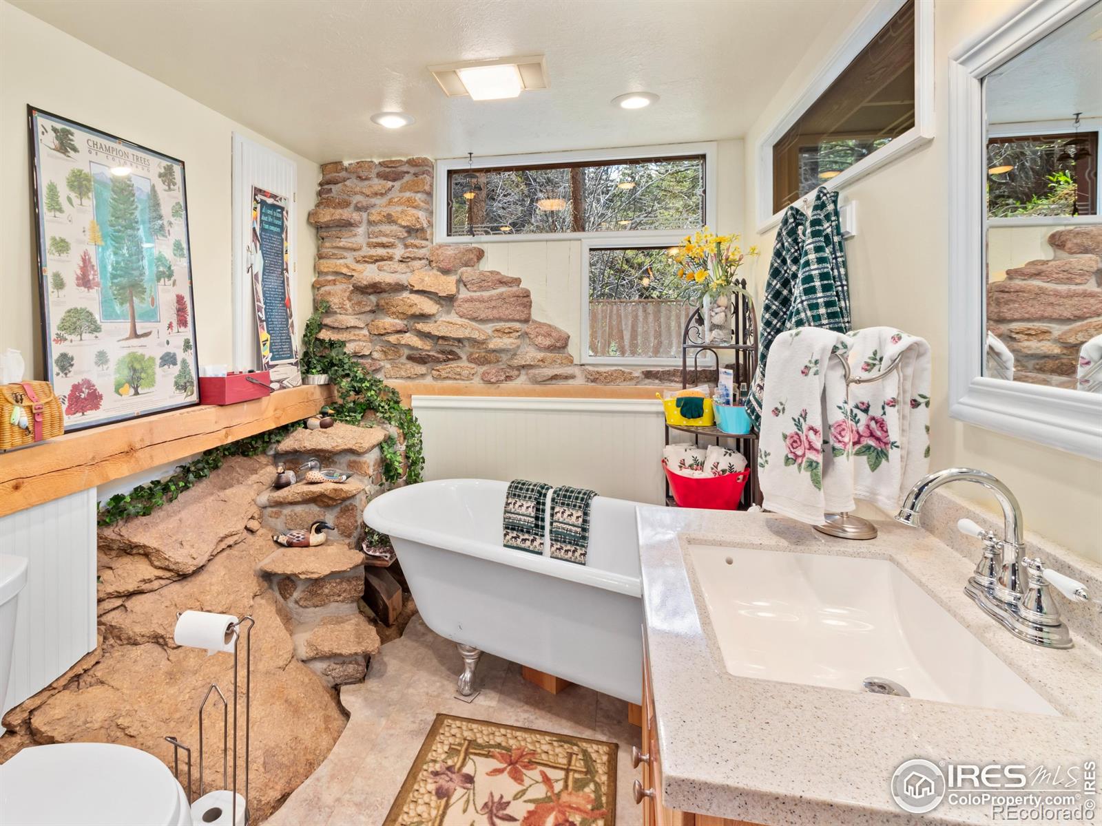 MLS Image #11 for 1134  highway 7 business ,allenspark, Colorado