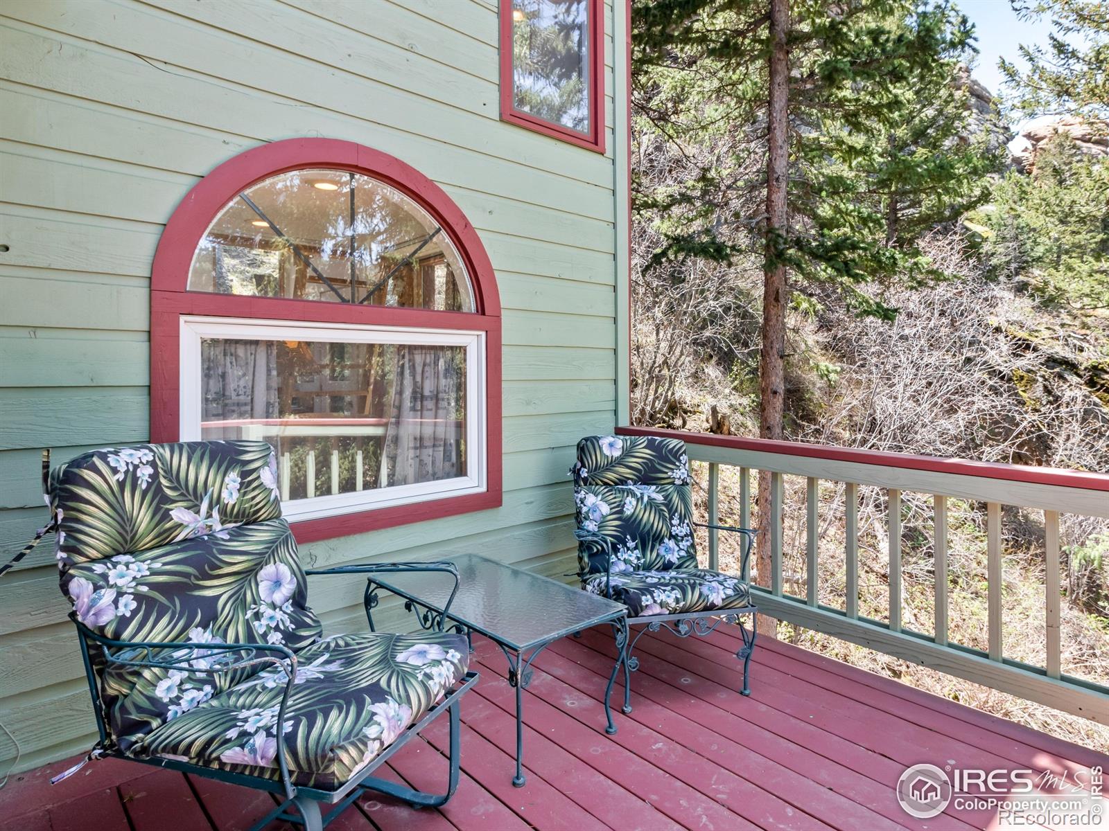 MLS Image #14 for 1134  highway 7 business ,allenspark, Colorado