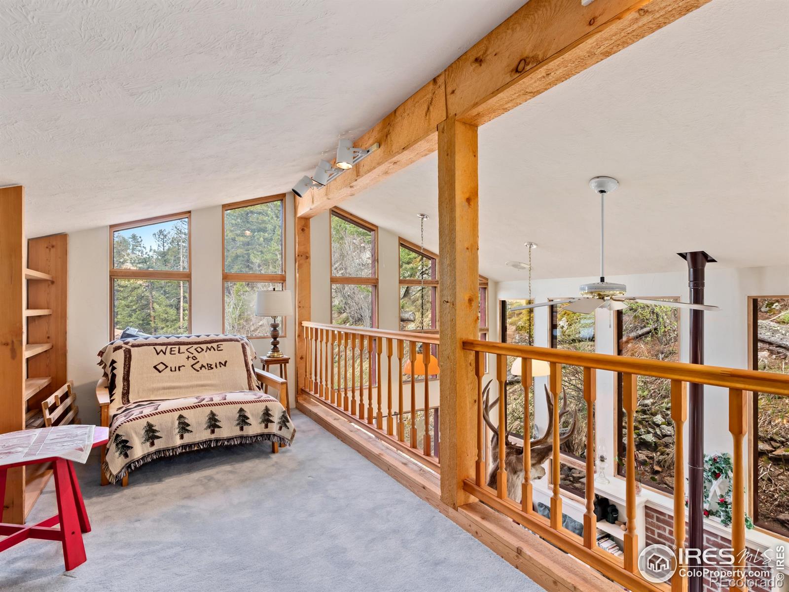 MLS Image #18 for 1134  highway 7 business ,allenspark, Colorado
