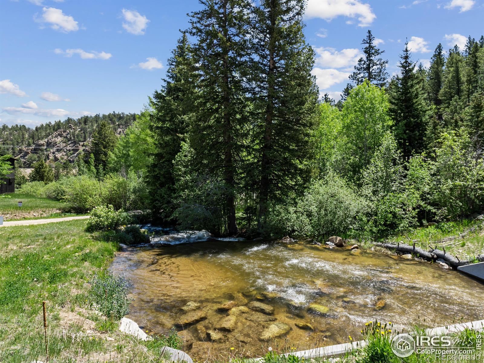 MLS Image #2 for 1134  highway 7 business ,allenspark, Colorado