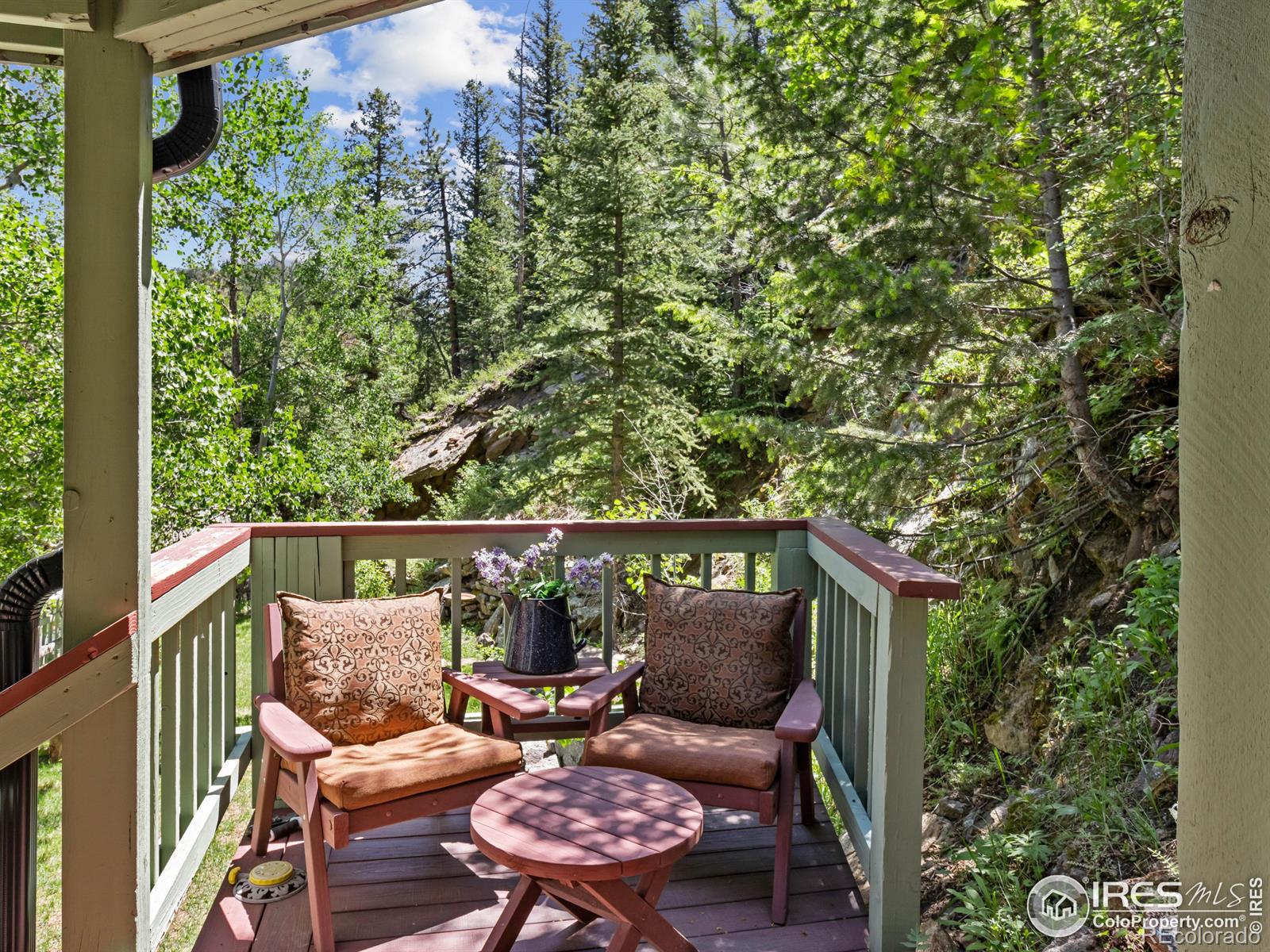 MLS Image #4 for 1134  highway 7 business ,allenspark, Colorado