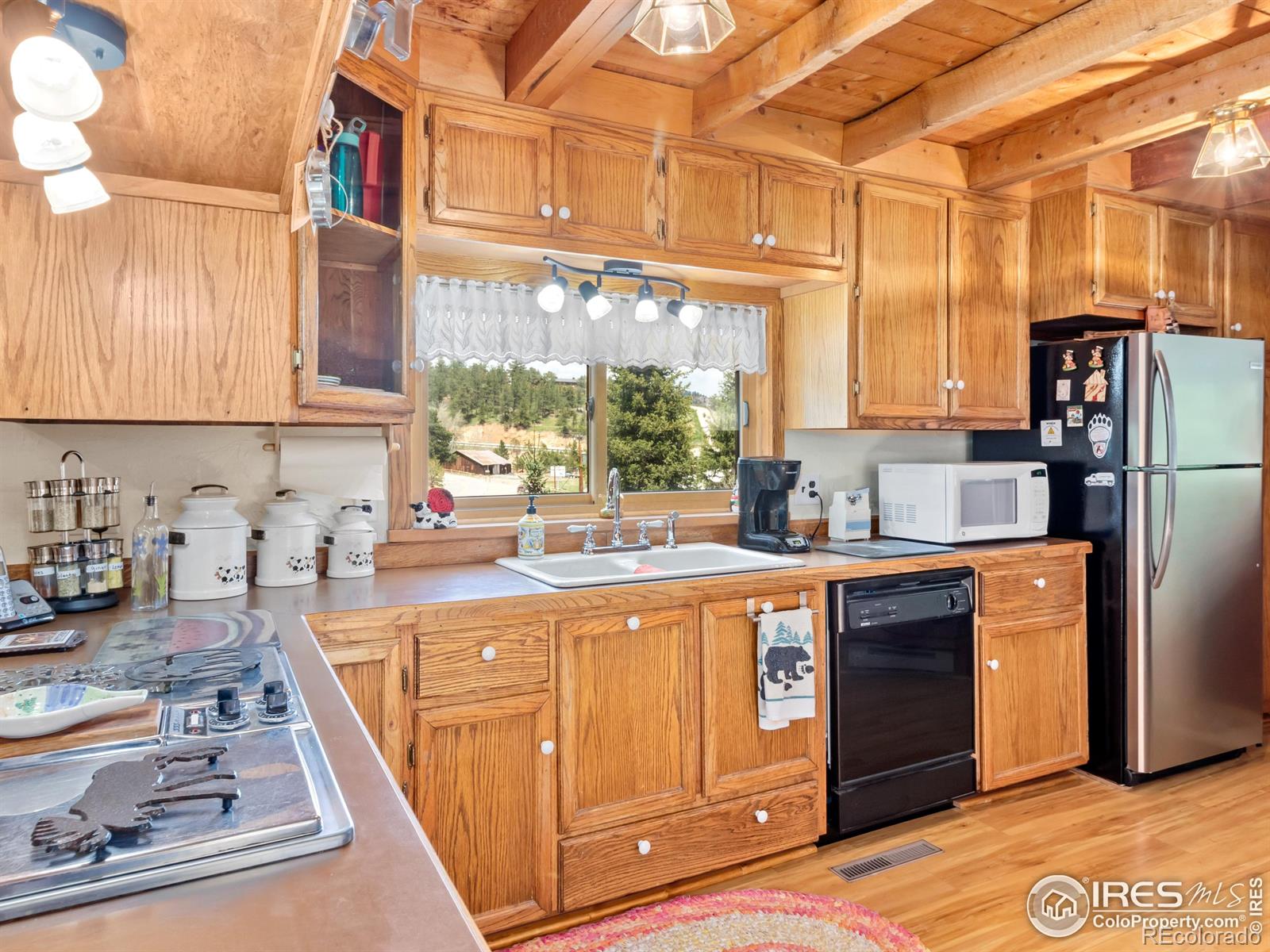 MLS Image #6 for 1134  highway 7 business ,allenspark, Colorado