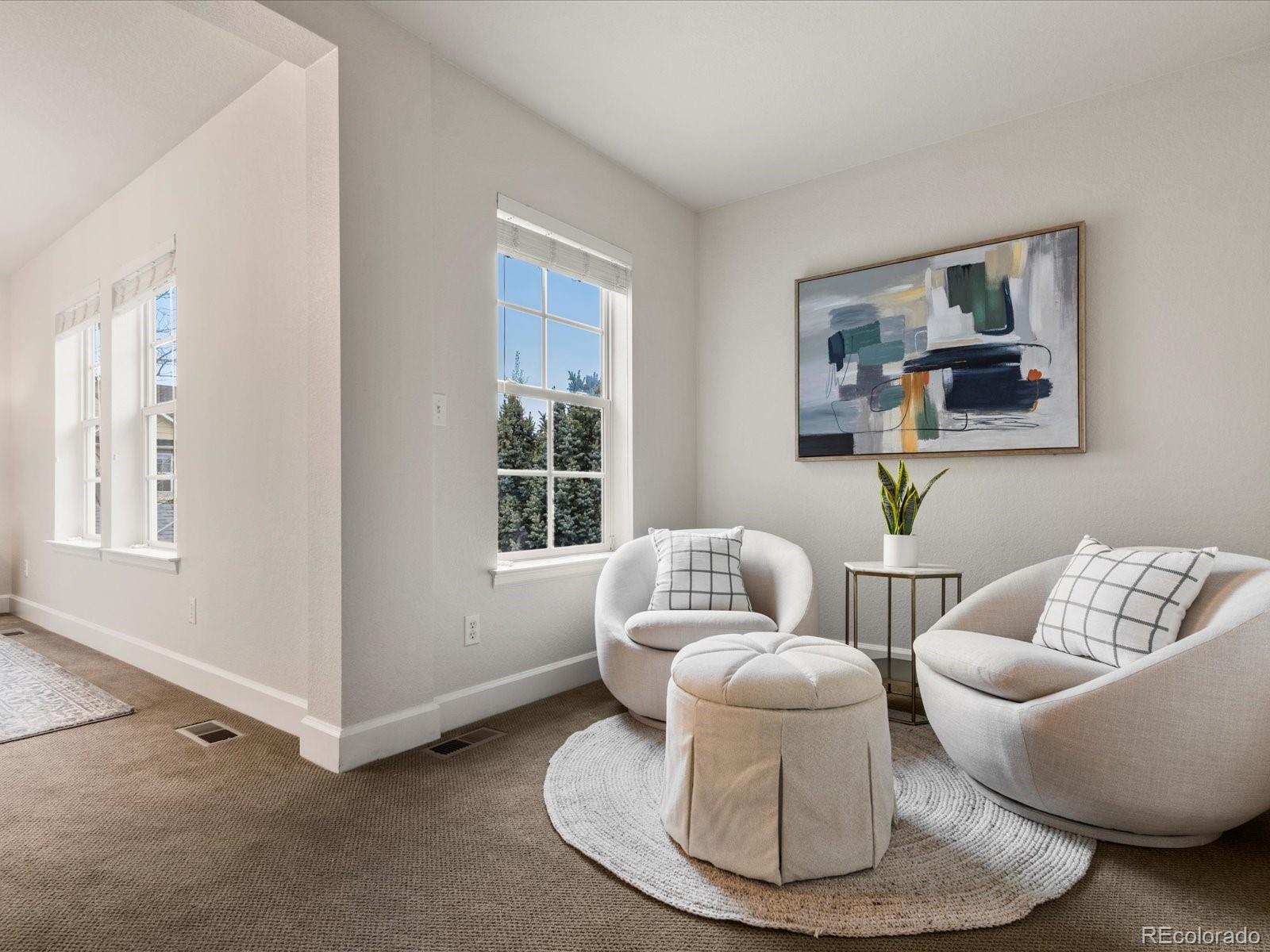 MLS Image #18 for 2880  emporia court,denver, Colorado
