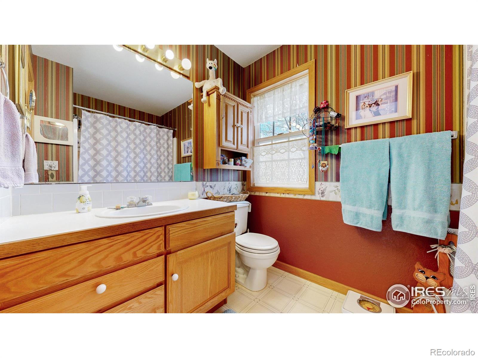 MLS Image #12 for 313 e iowa avenue,berthoud, Colorado