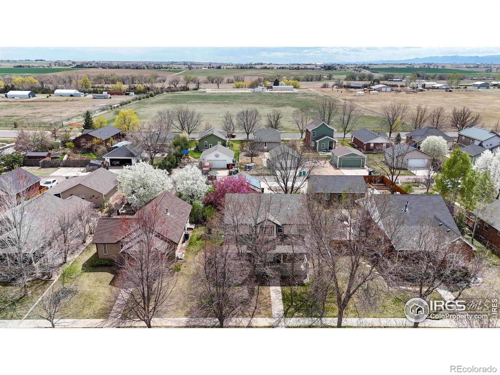 MLS Image #29 for 313 e iowa avenue,berthoud, Colorado
